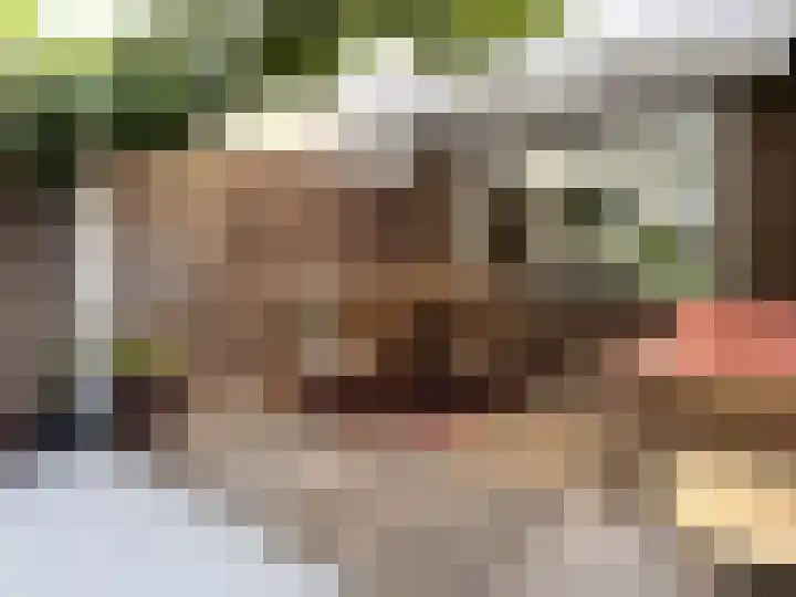 Gebr. van Doornelaan 31 Horst thumbnail 16