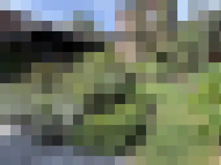 Gebr. van Doornelaan 31 Horst thumbnail 17