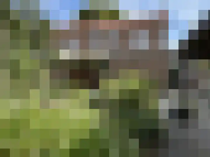 Gebr. van Doornelaan 31 Horst thumbnail 18