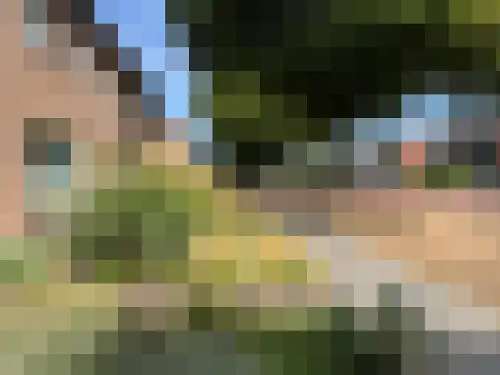 Gebr. van Doornelaan 31 Horst thumbnail 20