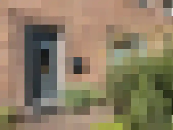 Gebr. van Doornelaan 31 Horst thumbnail 22