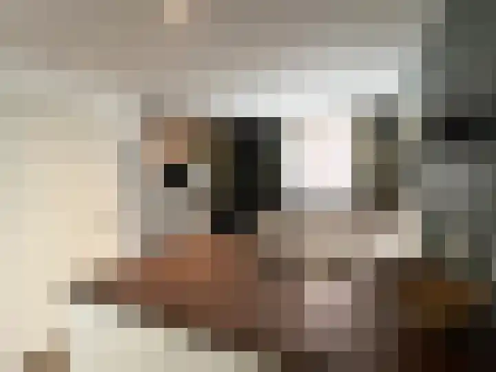 Gebr. van Doornelaan 31 Horst thumbnail 4