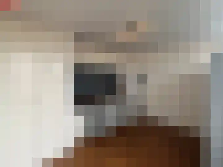Gebr. van Doornelaan 31 Horst thumbnail 6