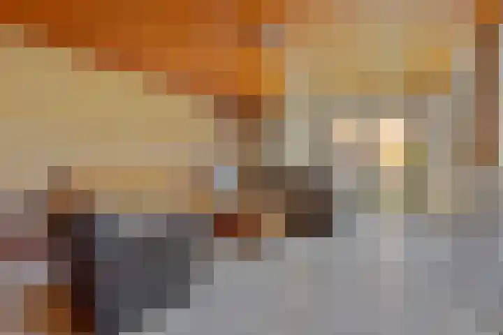 Gebr. van Doornelaan 53 Horst thumbnail 12