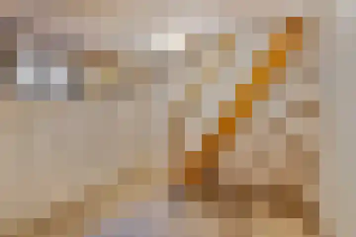 Gebr. van Doornelaan 53 Horst thumbnail 18