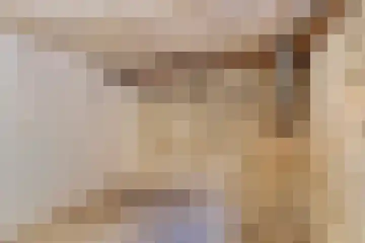 Gebr. van Doornelaan 53 Horst thumbnail 19