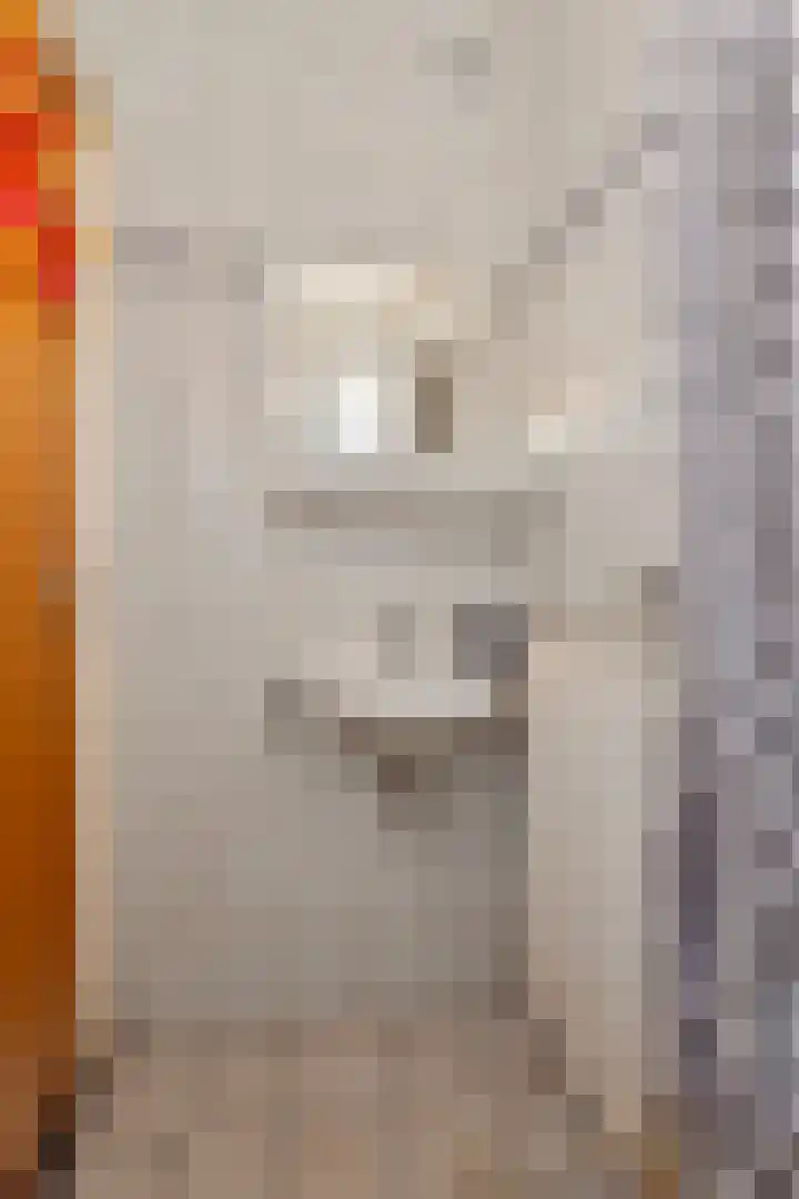 Gebr. van Doornelaan 53 Horst thumbnail 21