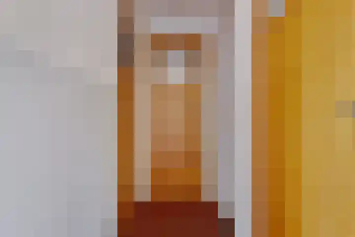 Gebr. van Doornelaan 53 Horst thumbnail 24