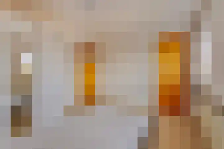 Gebr. van Doornelaan 53 Horst thumbnail 28