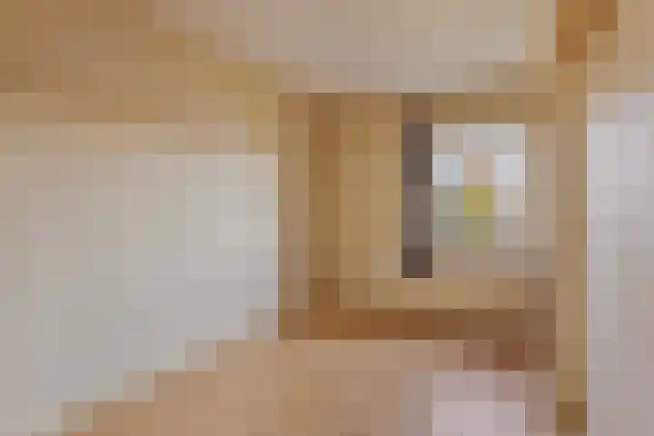 Gebr. van Doornelaan 53 Horst thumbnail 29