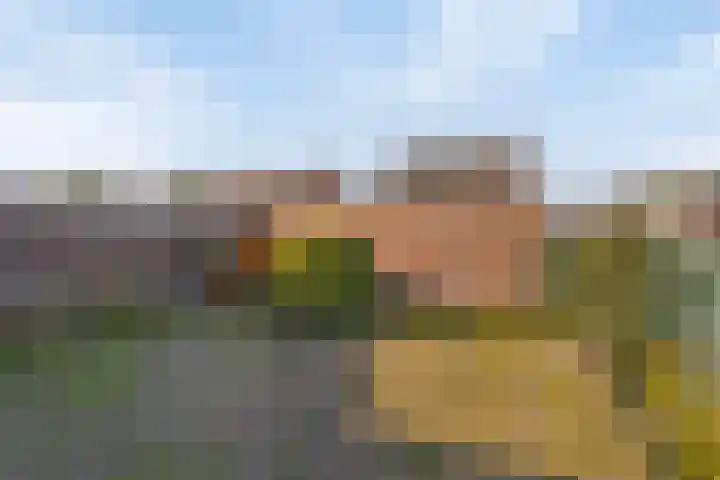 Gebr. van Doornelaan 53 Horst thumbnail 33