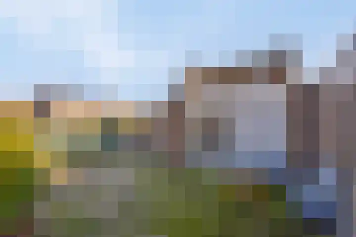 Gebr. van Doornelaan 53 Horst thumbnail 34