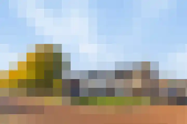 Gebr. van Doornelaan 53 Horst thumbnail 5