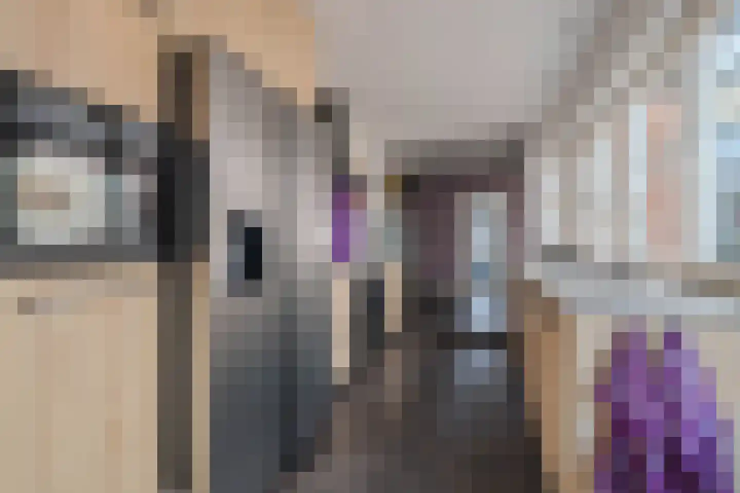 Gebr. van Doornelaan 66 Horst thumbnail 17