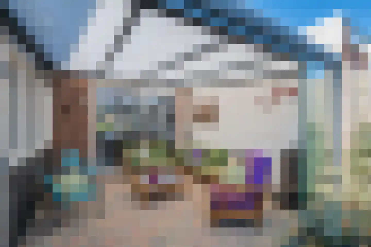 Gebr. van Doornelaan 66 Horst thumbnail 37
