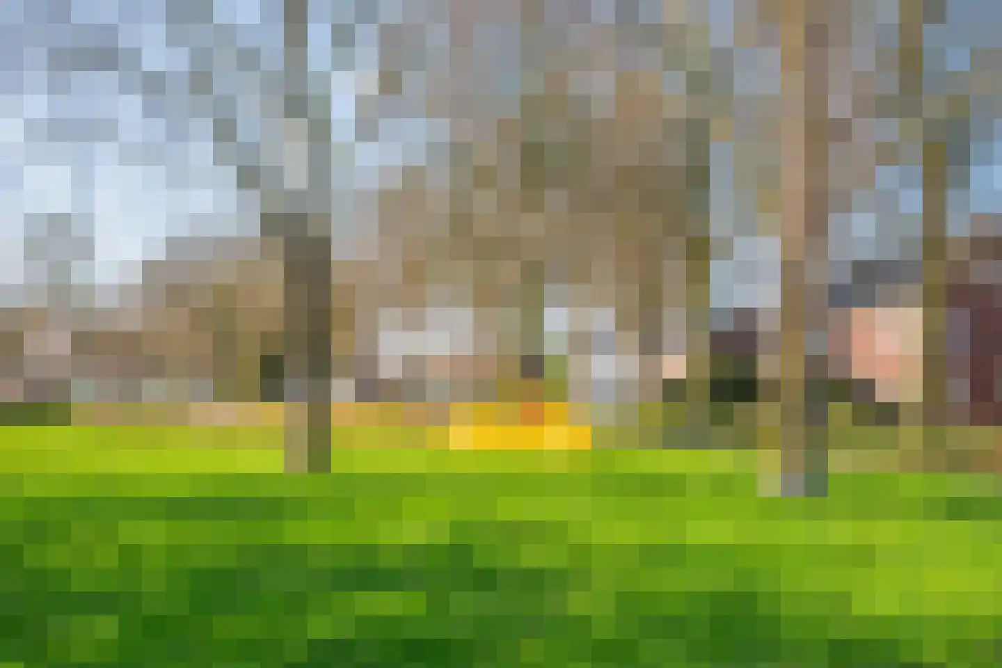 Gebr. van Doornelaan 66 Horst thumbnail 51