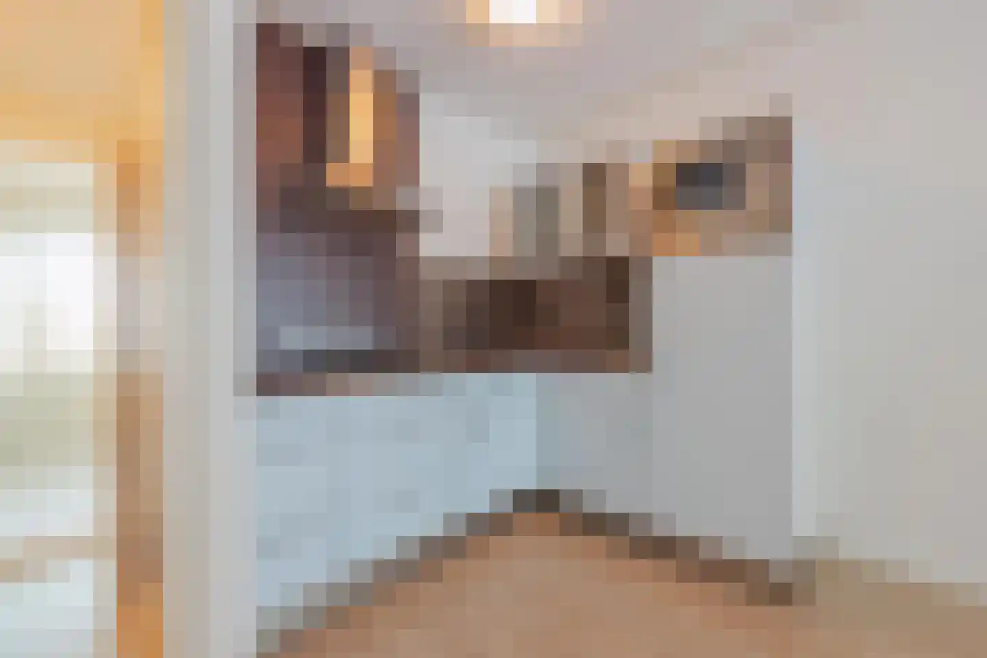 Gebr. van Doornelaan 84 e Horst thumbnail 14