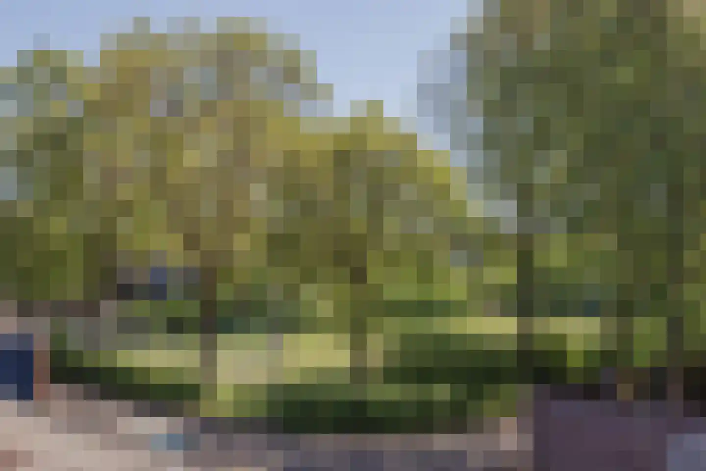 Gebr. van Doornelaan 84 e Horst thumbnail 25