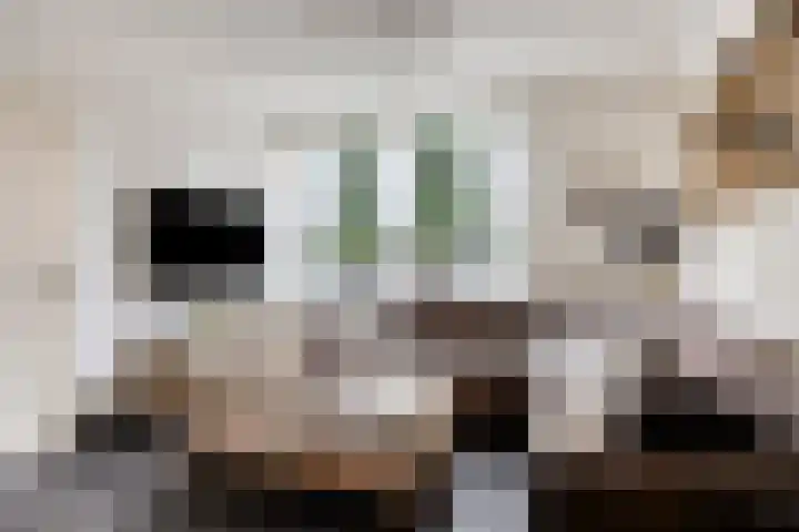 Gebr. van Doornelaan 98 Horst thumbnail 10