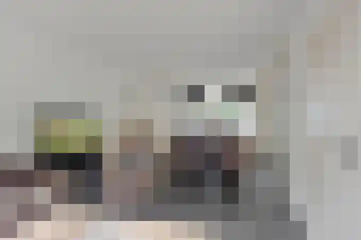 Gebr. van Doornelaan 98 Horst thumbnail 12