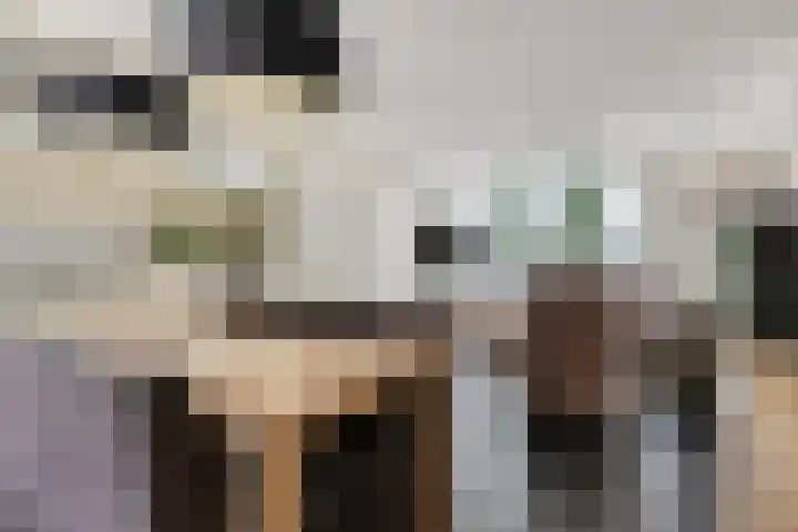 Gebr. van Doornelaan 98 Horst thumbnail 13