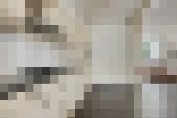 Gebr. van Doornelaan 98 Horst thumbnail 18