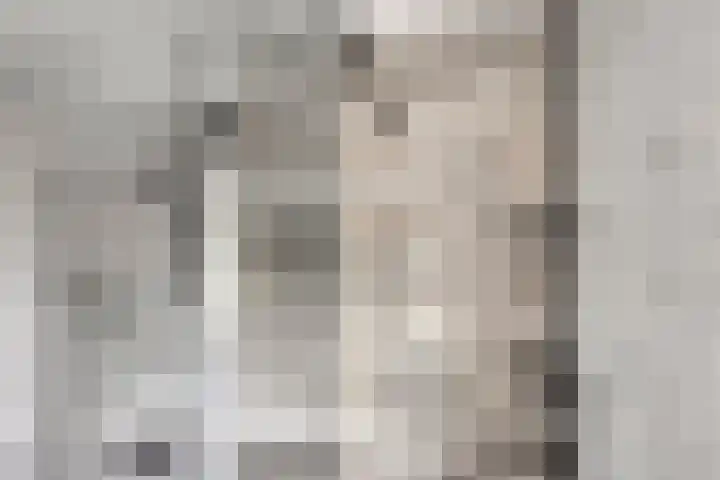 Gebr. van Doornelaan 98 Horst thumbnail 26