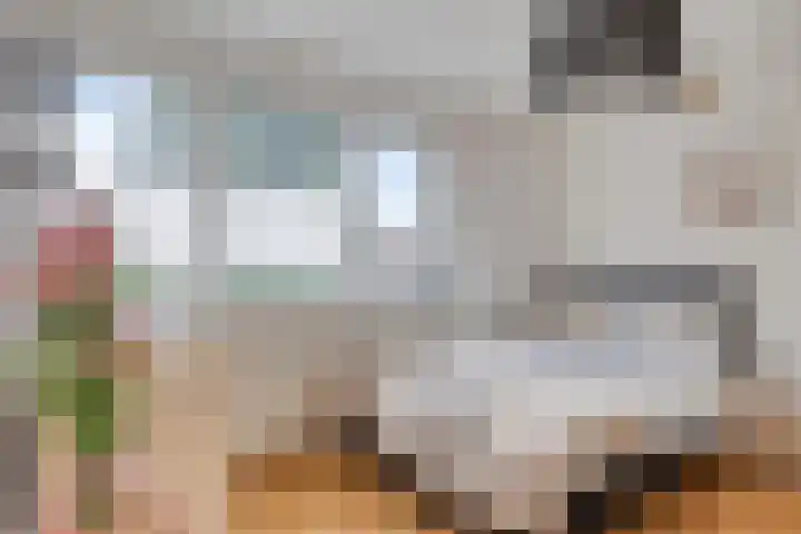 Gebr. van Doornelaan 98 Horst thumbnail 27