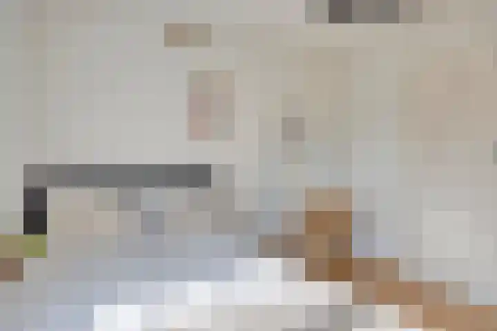 Gebr. van Doornelaan 98 Horst thumbnail 28
