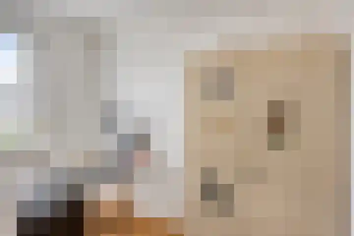 Gebr. van Doornelaan 98 Horst thumbnail 29