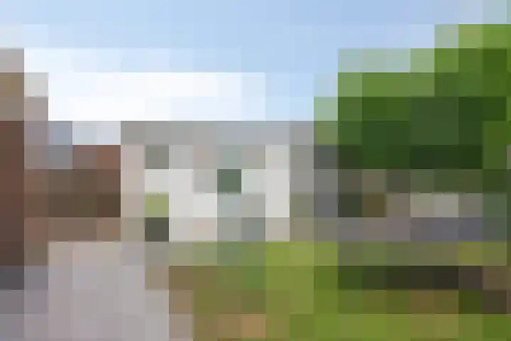 Gebr. van Doornelaan 98 Horst thumbnail 35
