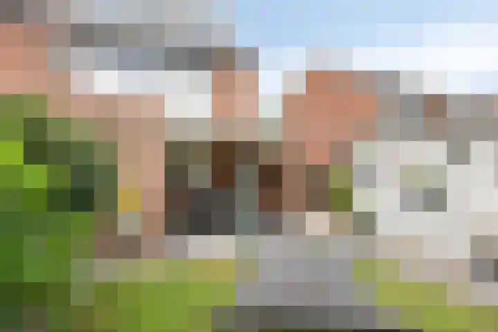 Gebr. van Doornelaan 98 Horst thumbnail 36