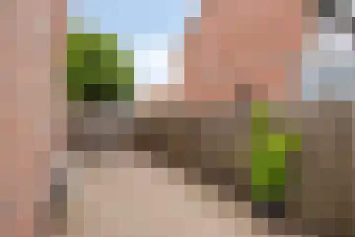 Gebr. van Doornelaan 98 Horst thumbnail 38
