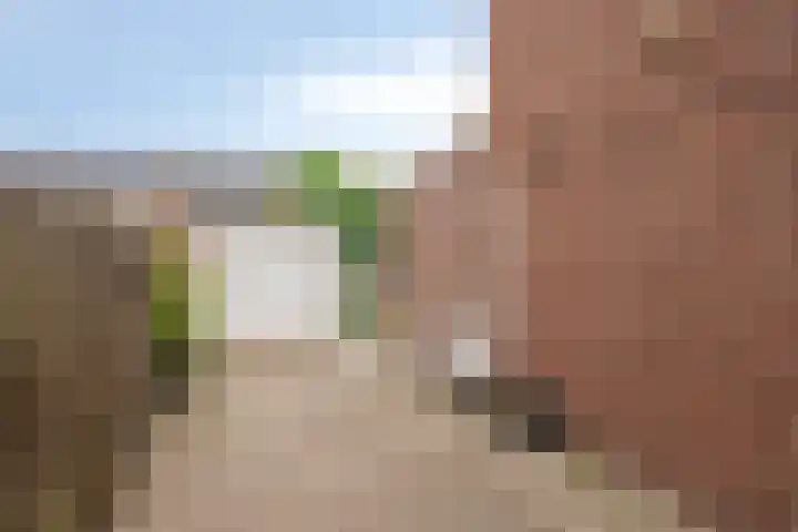 Gebr. van Doornelaan 98 Horst thumbnail 39