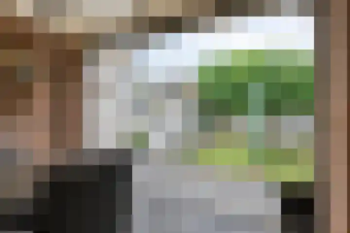 Gebr. van Doornelaan 98 Horst thumbnail 4