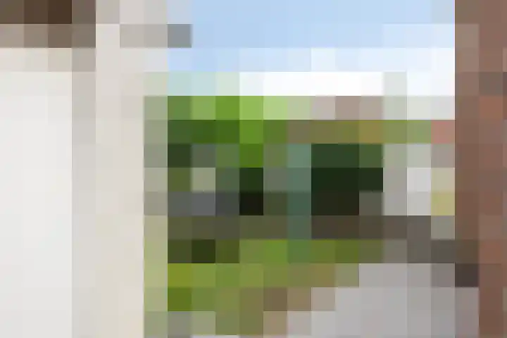 Gebr. van Doornelaan 98 Horst thumbnail 40
