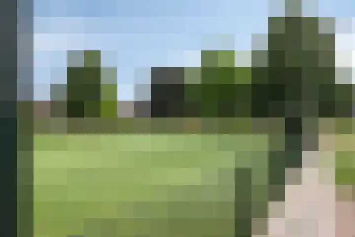 Gebr. van Doornelaan 98 Horst thumbnail 41
