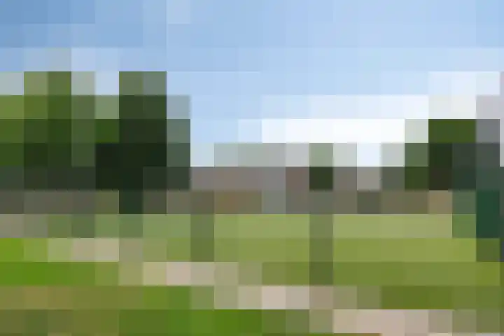 Gebr. van Doornelaan 98 Horst thumbnail 42