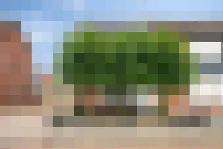 Gebr. van Doornelaan 98 Horst thumbnail 5