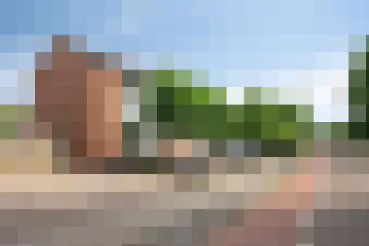 Gebr. van Doornelaan 98 Horst thumbnail 6