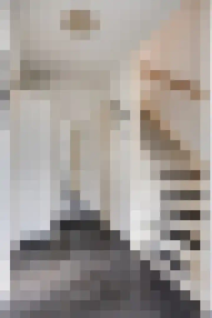 Gebr. van Doornelaan 98 Horst thumbnail 8