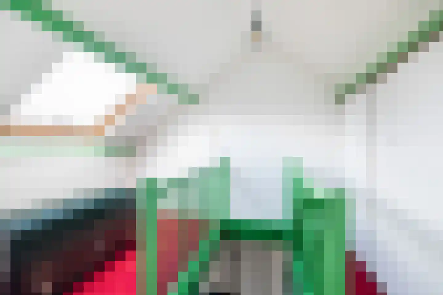 Gebr. van Eijckstraat 1 Woerden thumbnail 25
