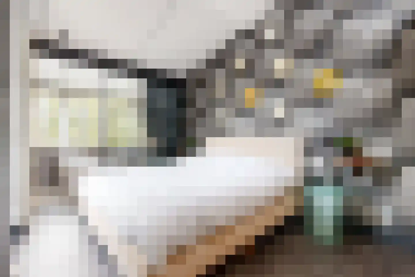 Gebr. van Eijckstraat 13 Woerden thumbnail 15