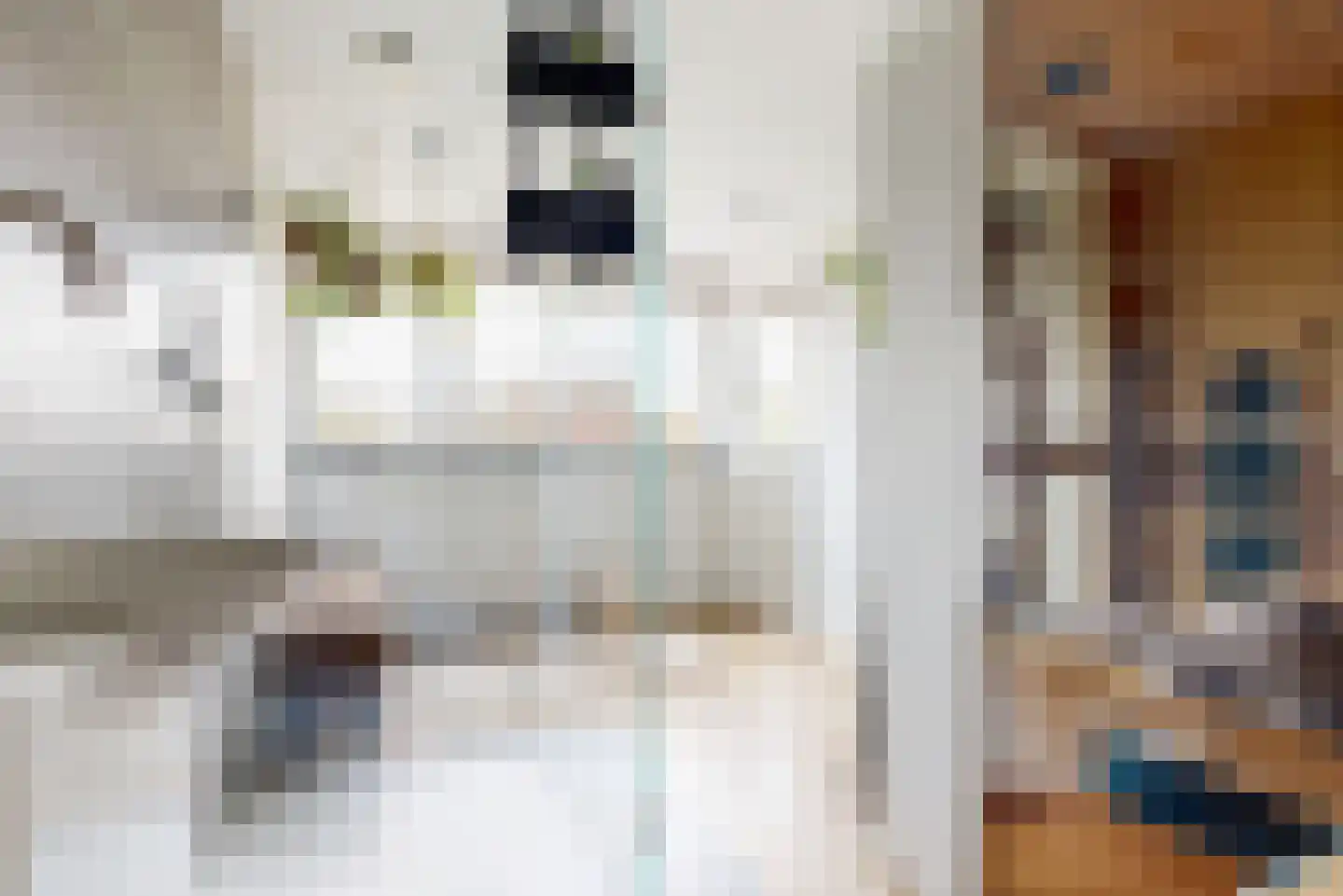 Gebr. van Eijckstraat 13 Woerden thumbnail 25