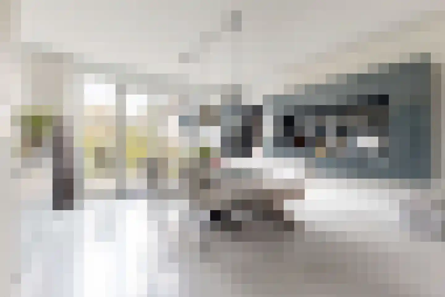 Gebr. van Eijckstraat 13 Woerden thumbnail 8