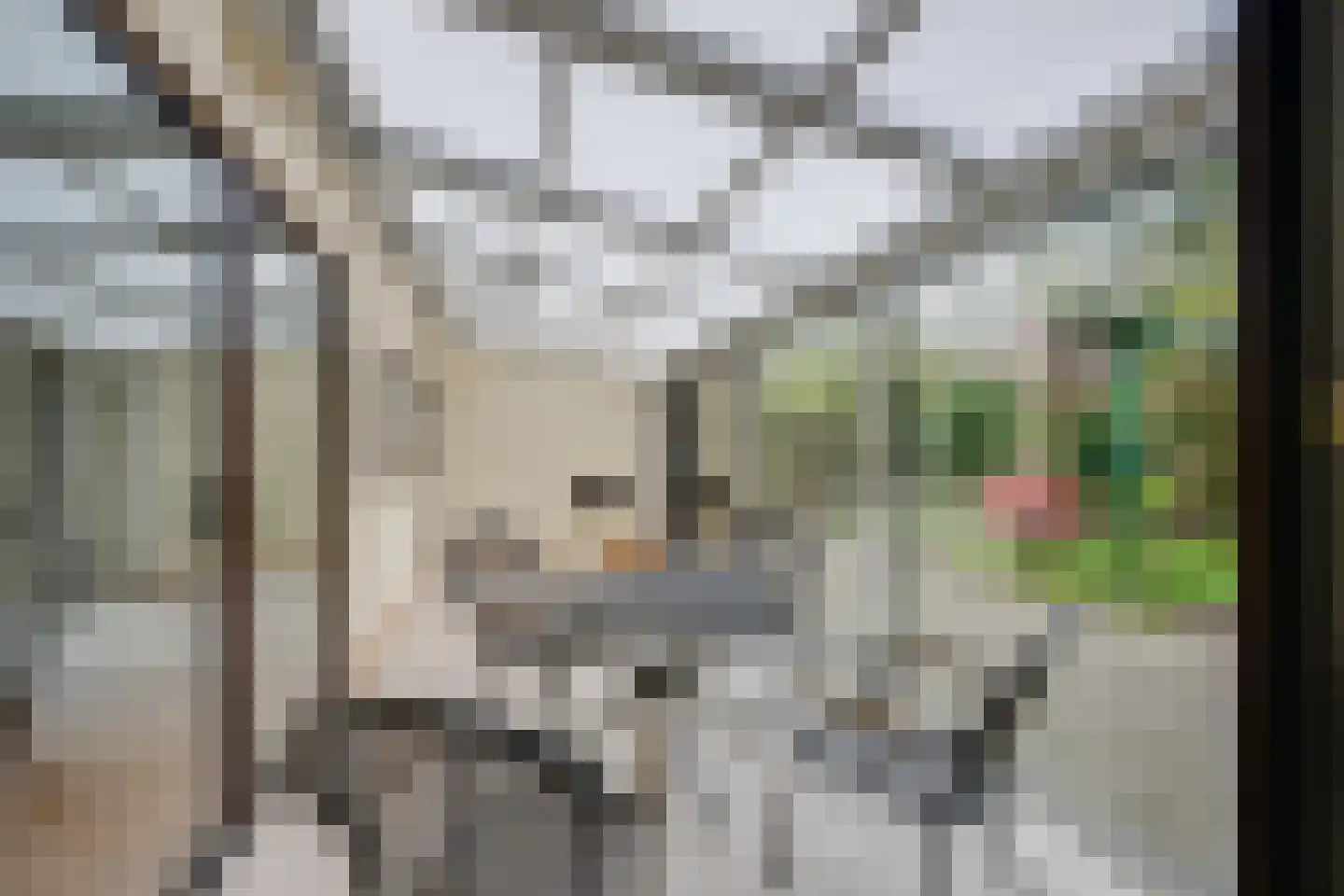 Gebrande Hoefstraat 17 Rucphen thumbnail 17