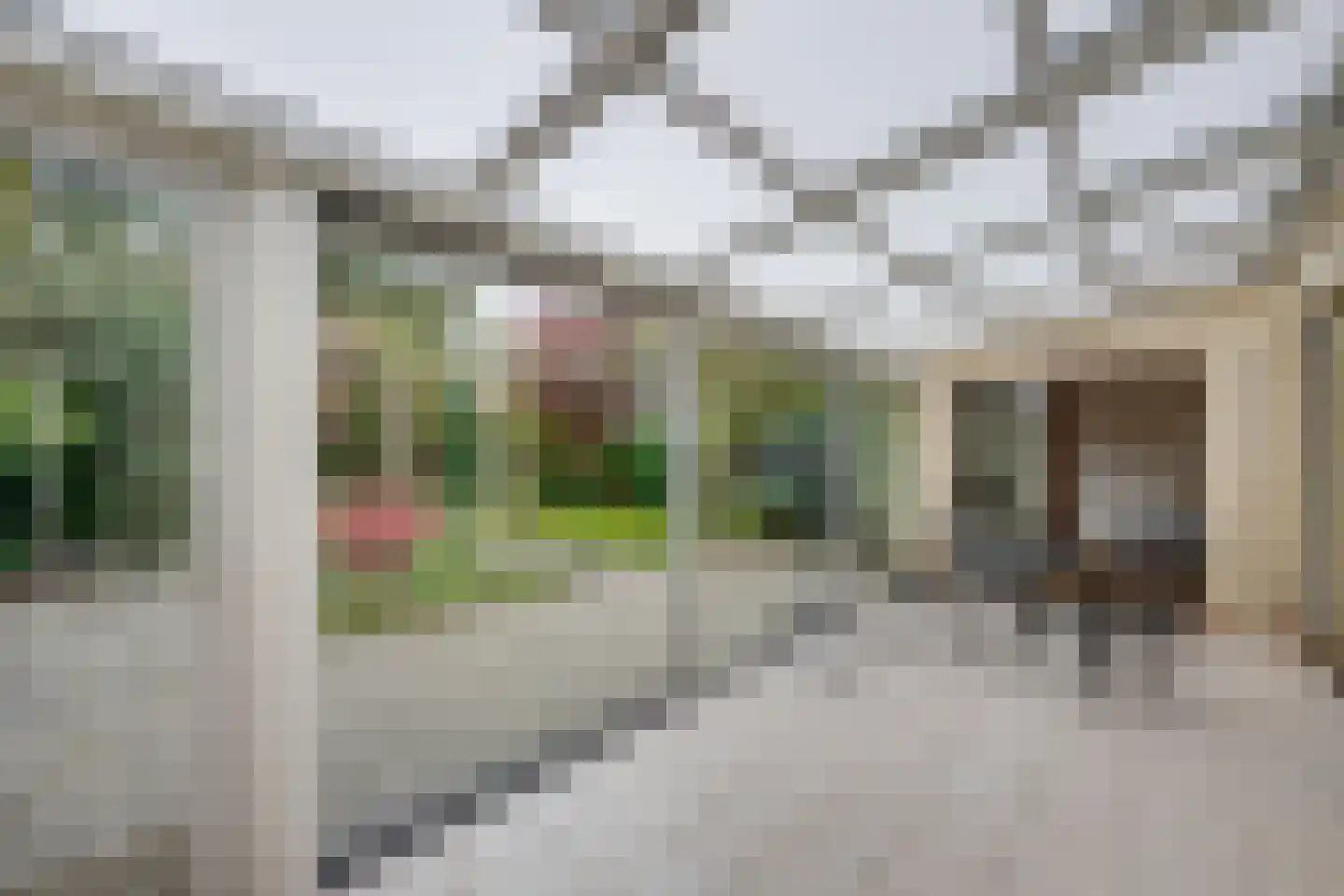 Gebrande Hoefstraat 17 Rucphen thumbnail 18