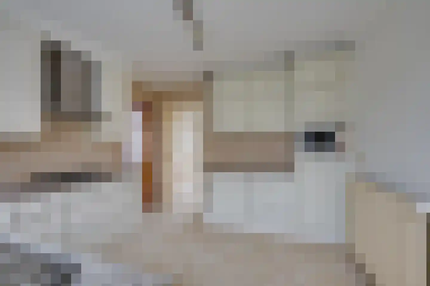 Gebrande Hoefstraat 17 Rucphen thumbnail 21