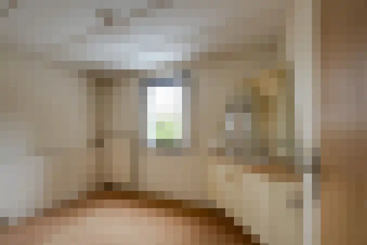 Gebrande Hoefstraat 17 Rucphen thumbnail 33