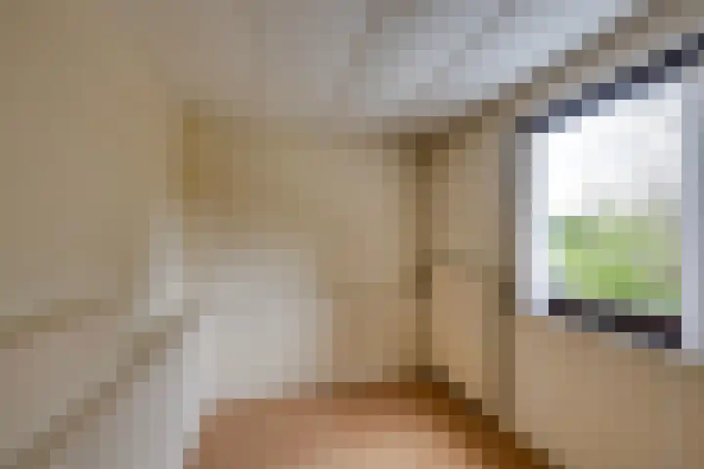 Gebrande Hoefstraat 17 Rucphen thumbnail 34